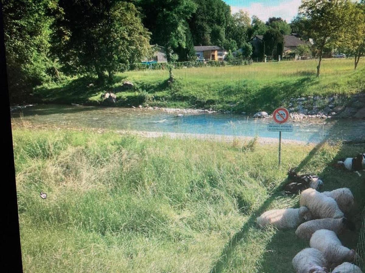 Maison Paisible Au Coeur Des Pyrenees Igon Kültér fotó